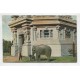 CIUDAD DE BUENOS AIRES ZOOLOGICO ANTIGUA TARJETA POSTAL ELEFANTE